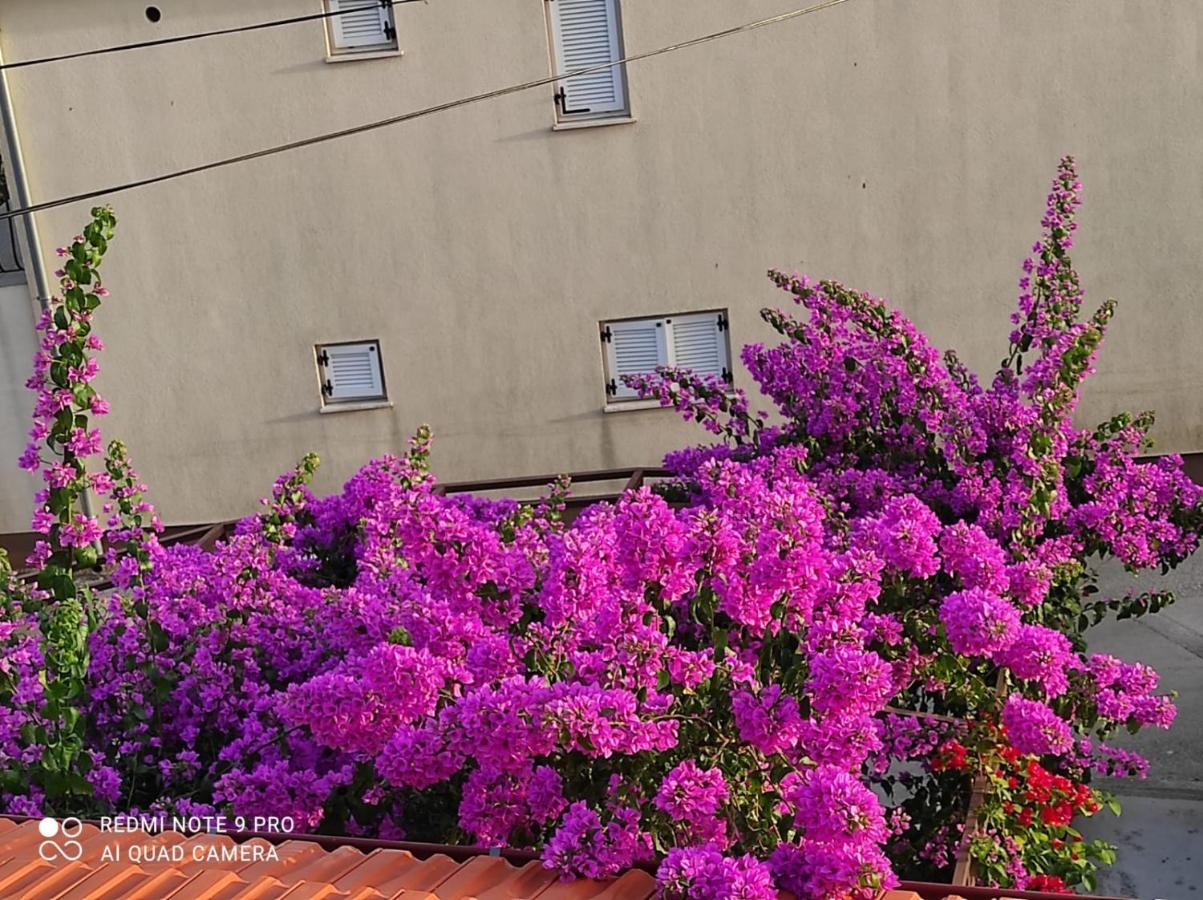 Apartments Iva Pakoštane Екстериор снимка